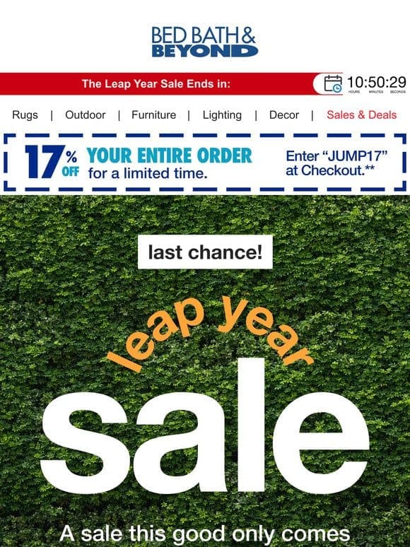 Last Chance for Leap Year Sale