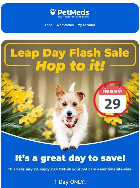 Leap into Savings! 29% Off Sitewide
