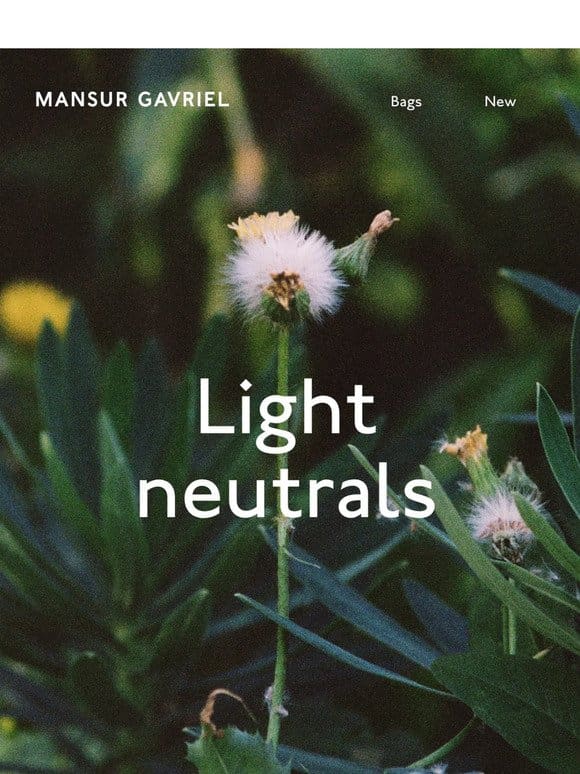 Light neutrals