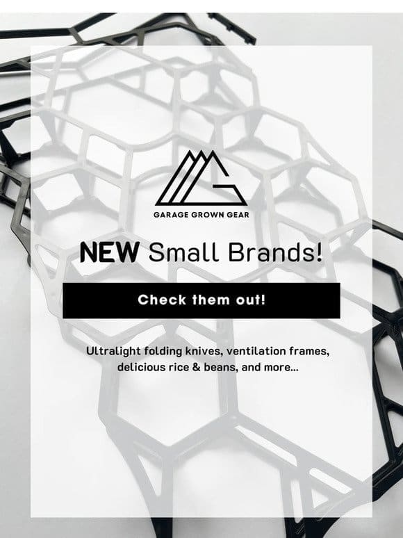 NEW Brands for March!