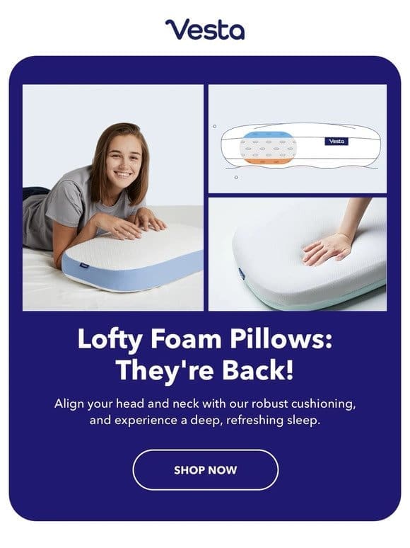 Need a high， firm， lofty pillow? Our Foam Pillows Are Back (!!!)