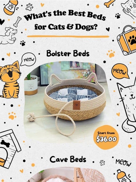 New Arrival Pet Essentials Collection