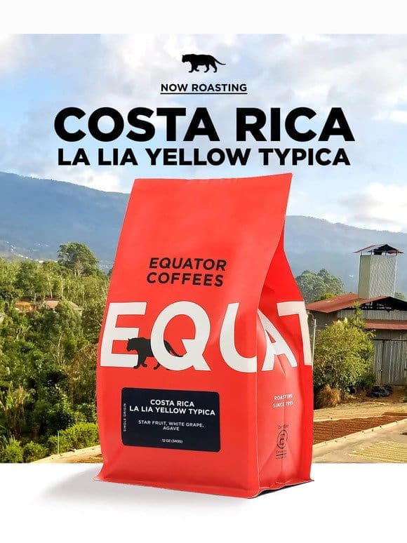 New Yellow Typica Coffee from Costa Rica ☕