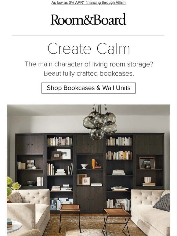 Organize your TBR pile with a modern bookcase
