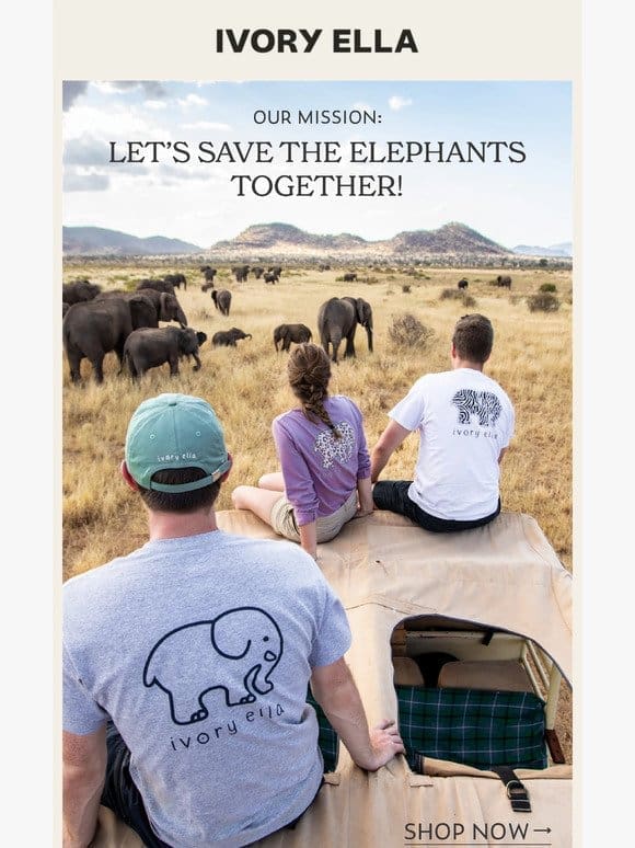 Our Mission: Let’s Save The Elephants Together!!
