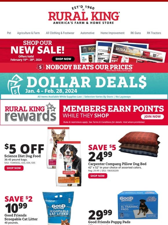 Pet Essentials on Sale: Save on Food， Beds， and More for Your Pets!
