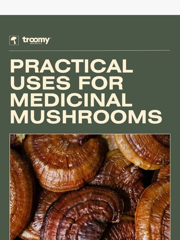 Practical Uses for Medicinal Mushrooms