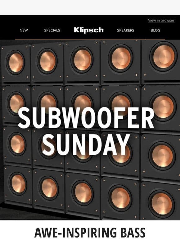 SUBWOOFER SUNDAY | Reference Premiere Subwoofer Reviews
