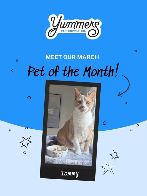 Say hi   to our March Pet of the Month
