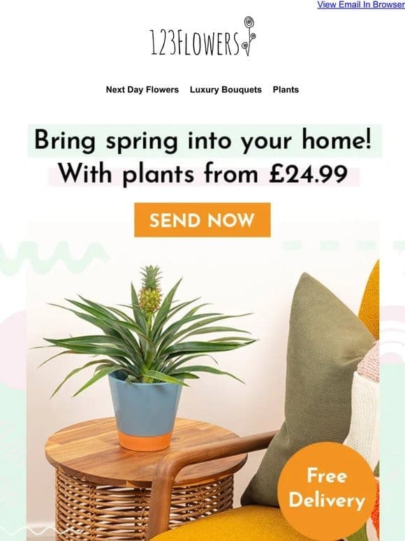 Spring Is Here! Bring In The Season With Plants!