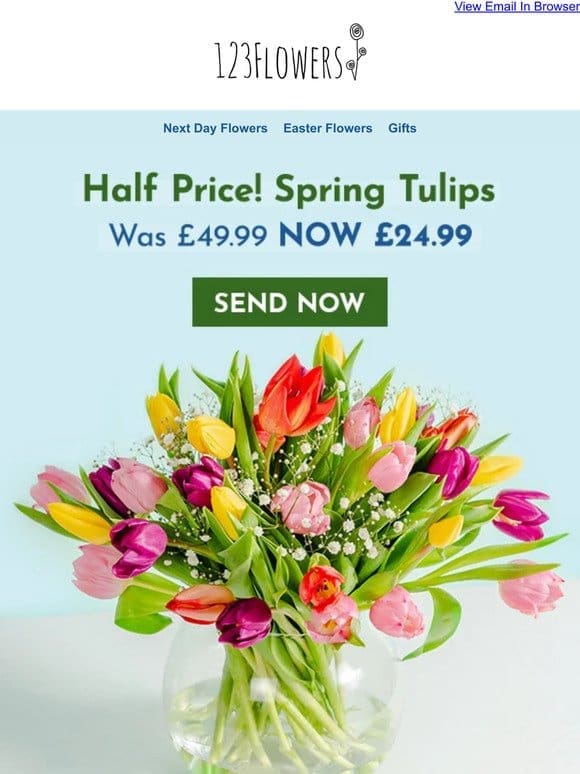 Spring Tulips Now Half Price!