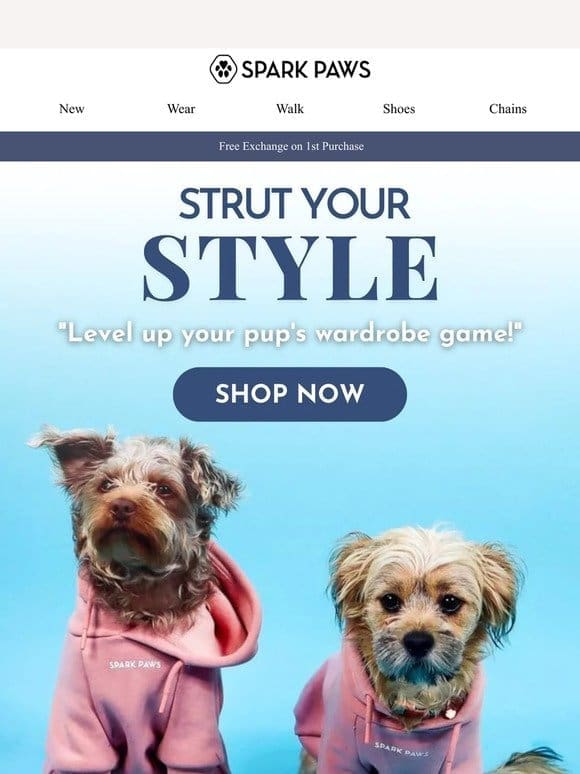 Strut Your Pup’s Style