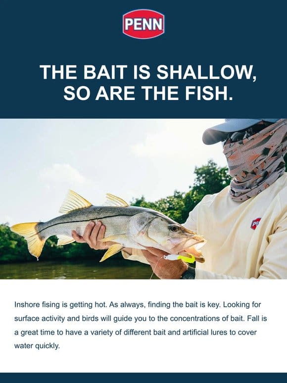 The Bait Is Shallow， So Are The Fish.
