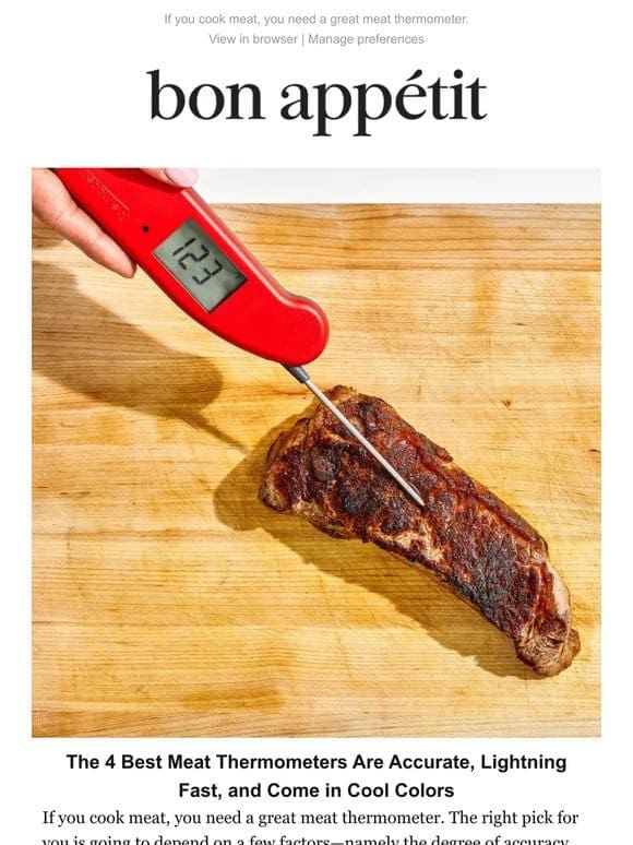 The Best Meat Thermometers