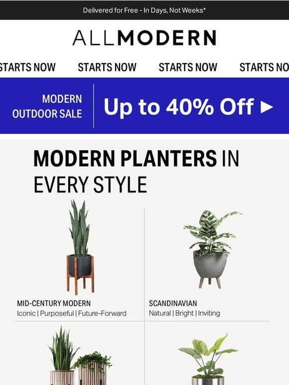 The planters every room needs.