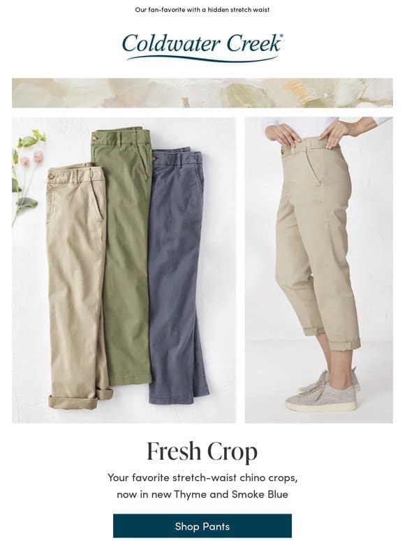 These Chino Crops are Pure Quality