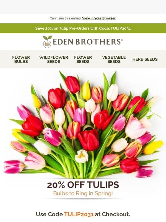 Tulip Time!  20% Off Pre-Orders