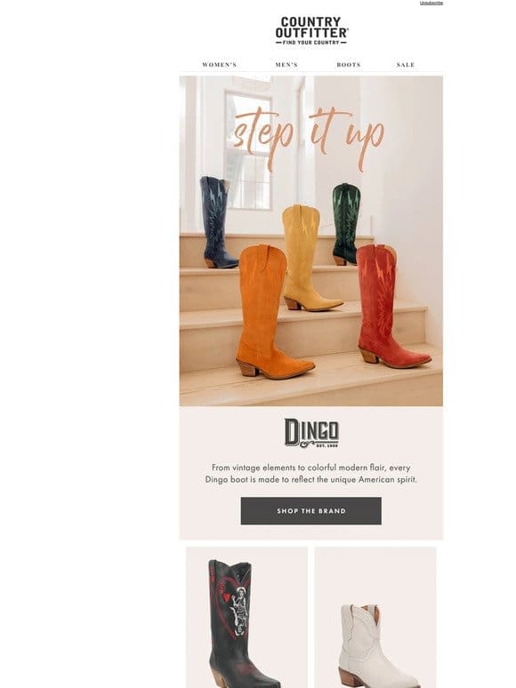 Unique Dingo Boots With Vintage Flair
