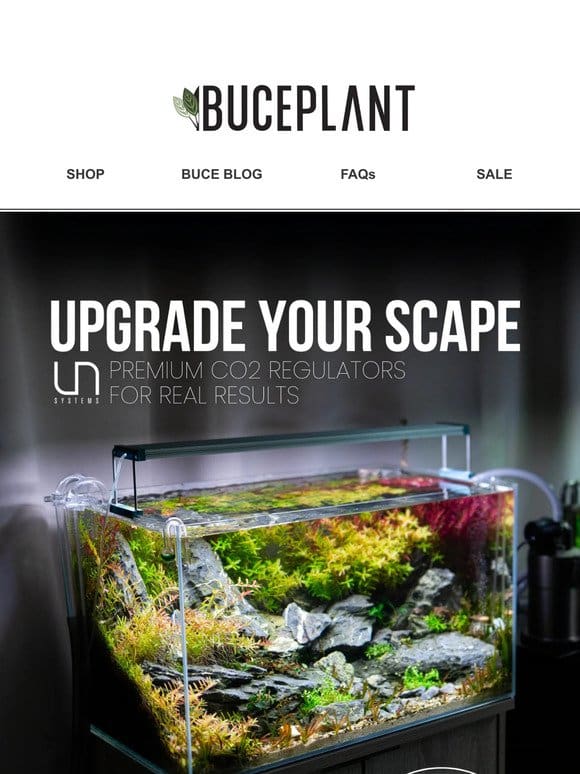 Upgrade Your Scape with a CO2 Kit (Everything Included!)