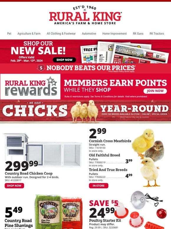 Visit Our Live Chicks In-Store & Stock Up & Save on the Essentials!