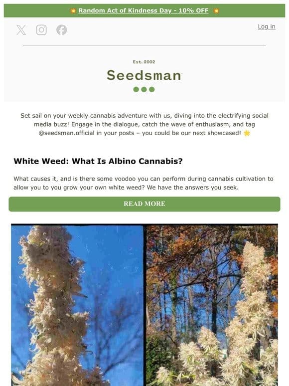 Weekly Update from Seedsman   + 10% OFF TODAY ONLY