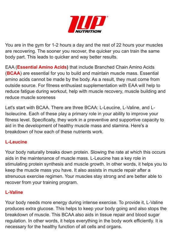 What are EAA & BCAA?