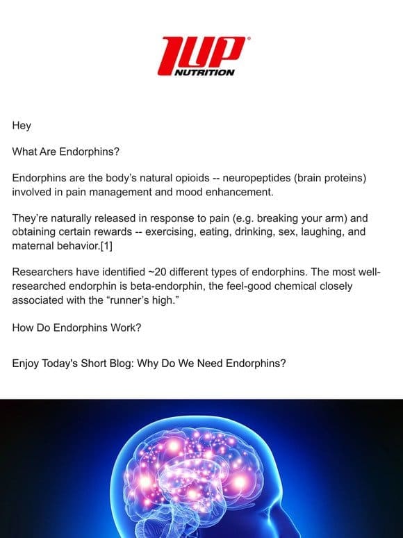 Why Do We Need Endorphins?