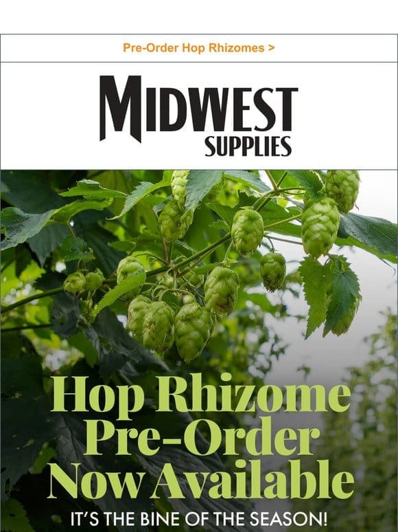 Why Grow Your Own Hops?