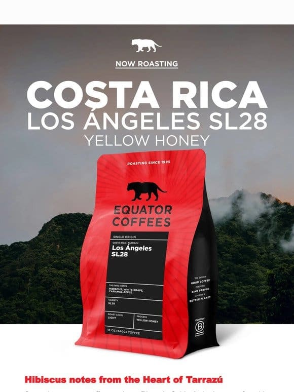 Yellow Honey Coffee x Costa Rica!