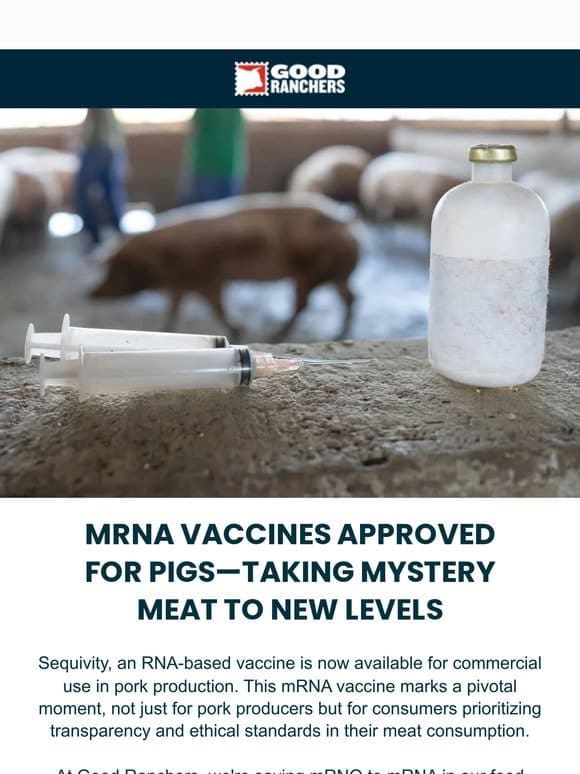 mRNA Vaccines Approved For Pigs—Taking “Mystery Meat” To New Levels
