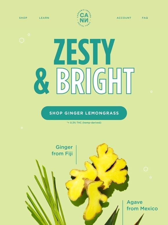 what’s in ginger lemongrass?