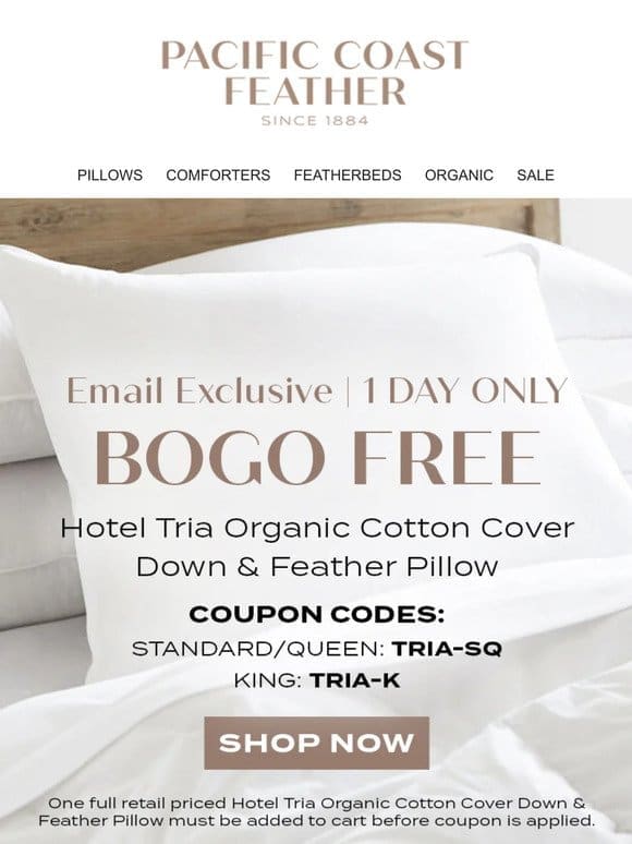 1 DAY FLASH SALE: BOGO FREE Hotel Tria Pillow