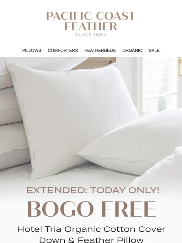 1 More Day! BOGO FREE Hotel Tria Pillow is Extended