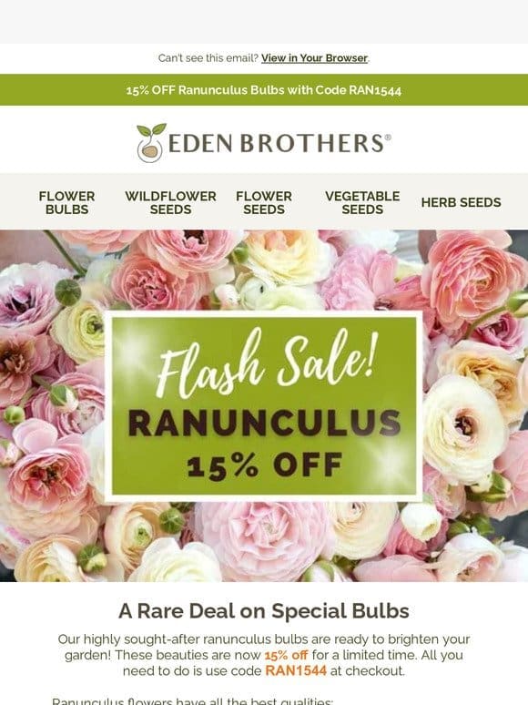 15% Off Ranunculus Bulbs