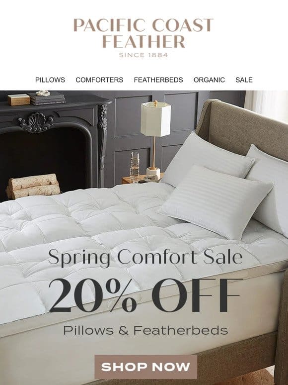 20% OFF Soft， Supportive & Luxurious Featherbeds