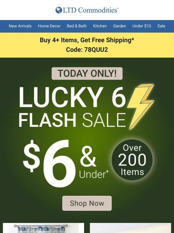 24HR Flash Sale! ⏰  $6 & Under Deals