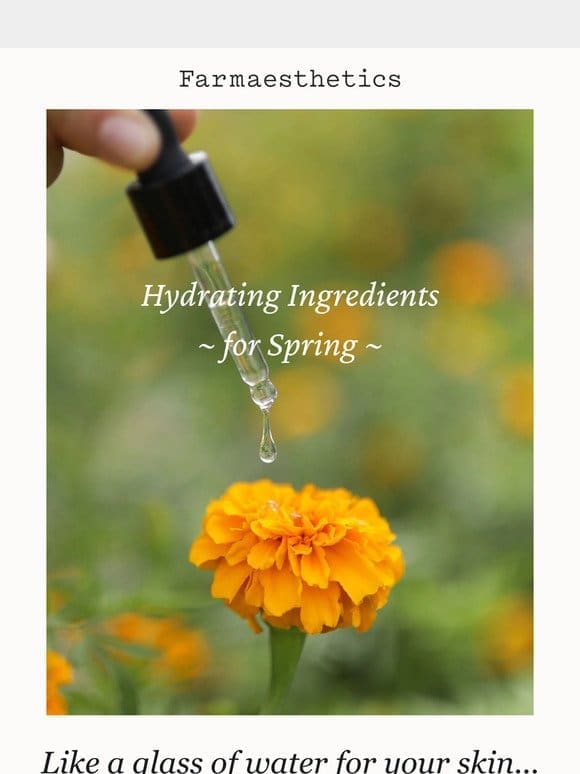 3 Hydrating Ingredients for Spring