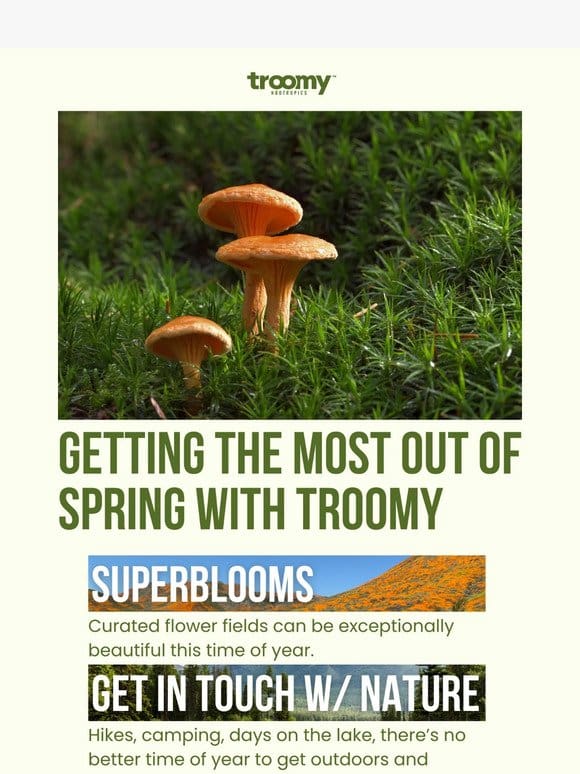4 Spring Activities to Enjoy w/Troomy