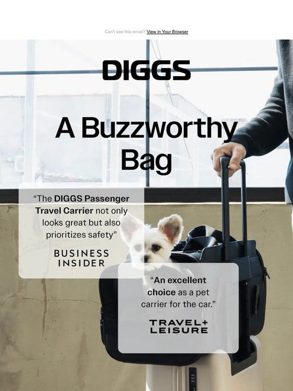 A Buzzworthy Bag  ✈️