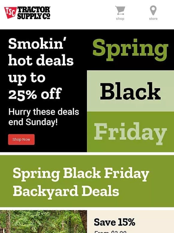 ? Act Fast， Limited Time ONLY. The Spring Black Friday Sale Ends Today ?