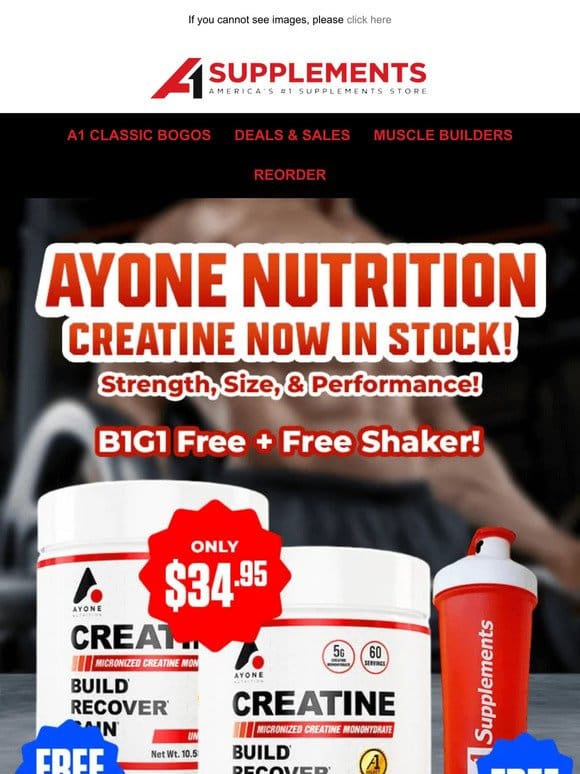 Ayone Nutrition Creatine Now in Stock!
