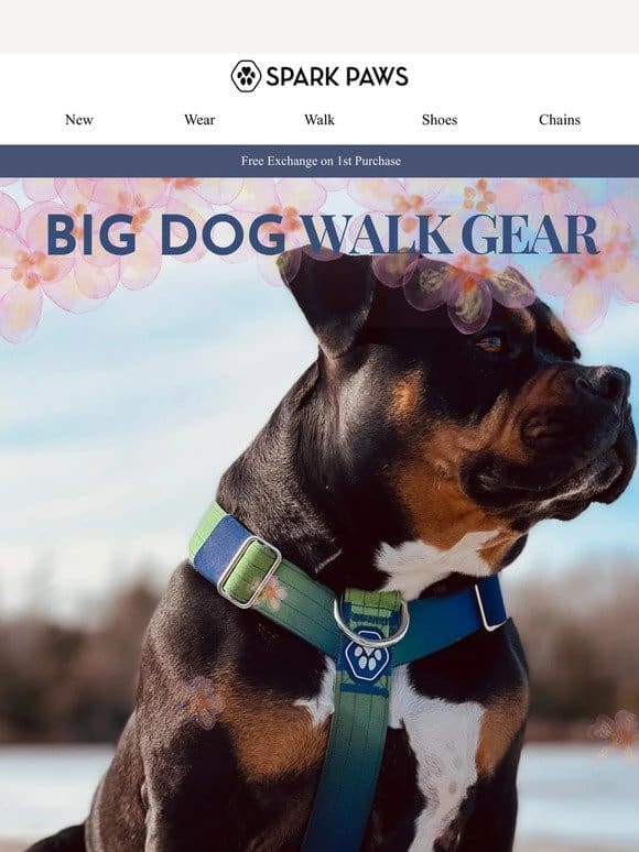 Big Pup Walk Gear， Strong and Sturdy