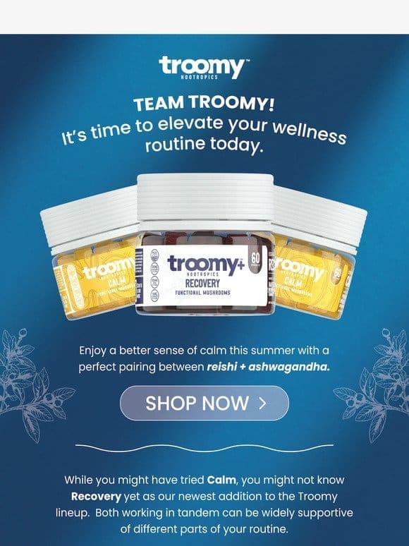 Calm and Recovery 25% OFF : Your New Mushroom Super Team