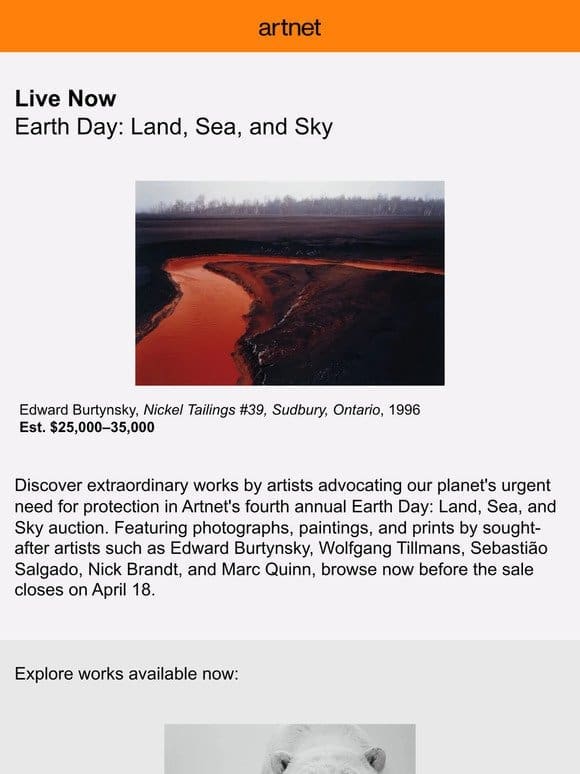 Celebrate Earth Day with Artnet’s Annual Auction