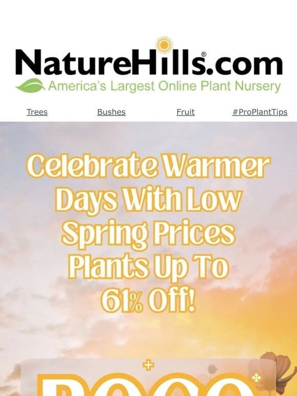 Celebrate warmer days with low spring prices