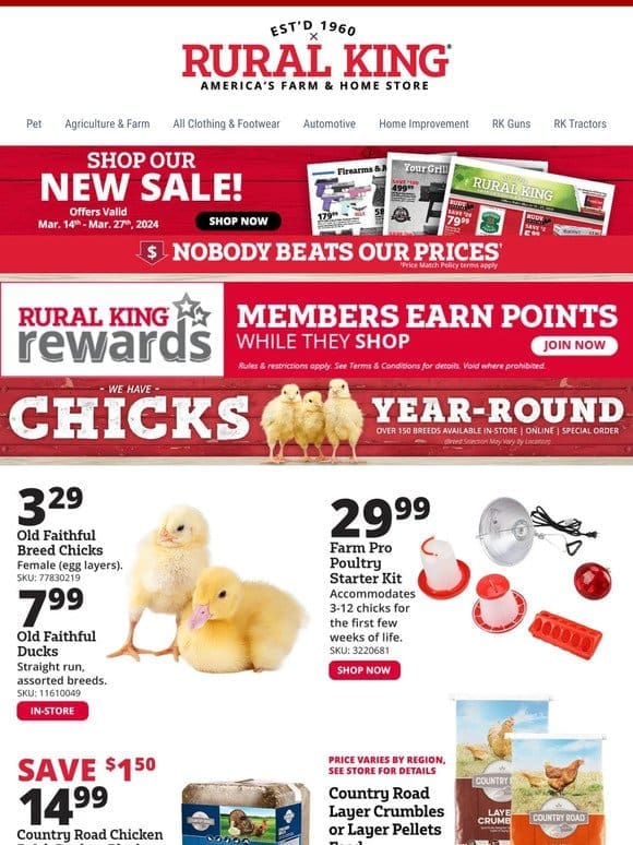 Chick Days are Almost Over! Hurry in for Live Chicks & Great Deals!