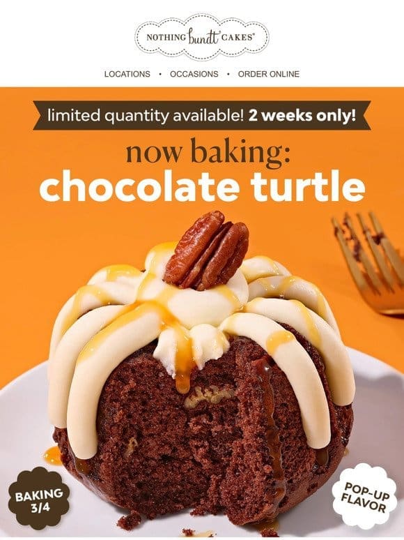 Chocolate Turtle Bundtlets are Now Baking!