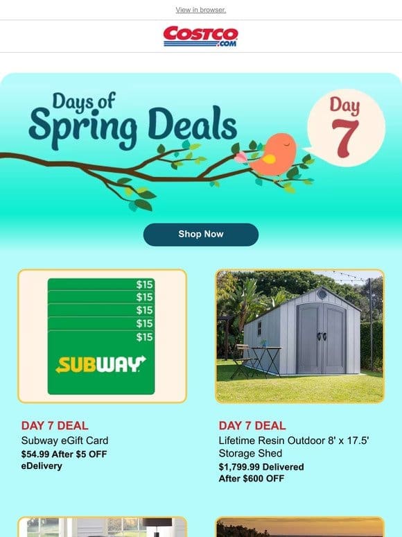 Day 7 of Spring Savings Days!