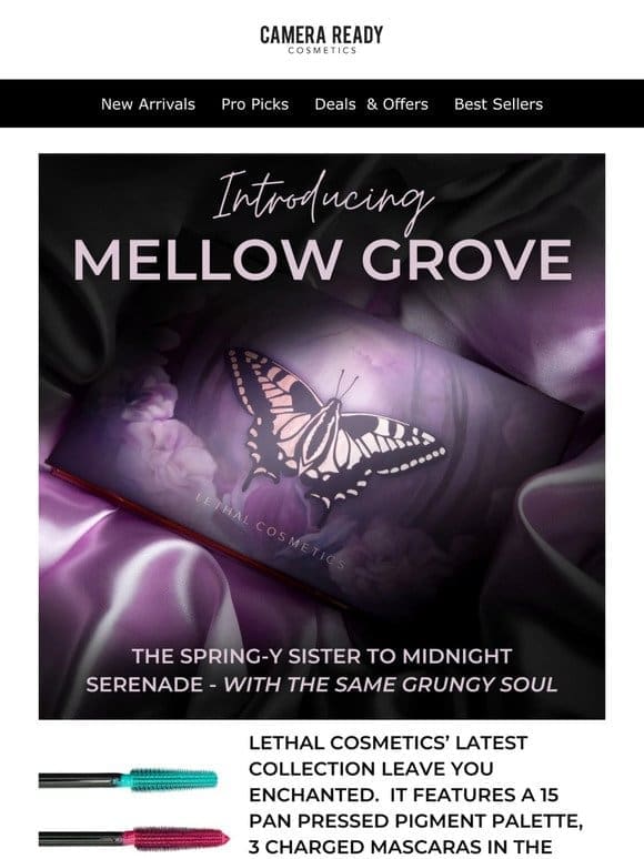 Dive Into the Mysterious Beauty of the Mellow Grove Palette
