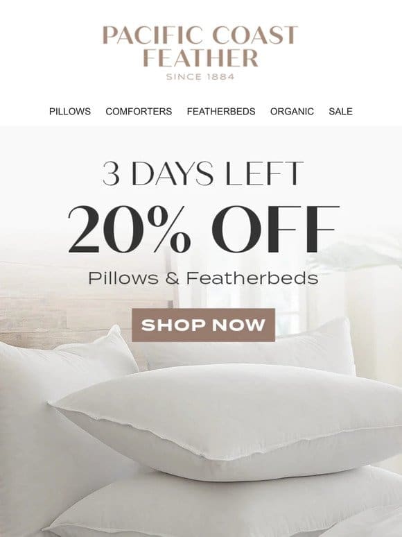 Don’t Wait! 20% OFF Pillows & Featherbeds is Ending